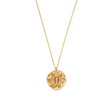 Load image into Gallery viewer, Orelia 18k Gold Plated ‘Scorpio’ Necklace