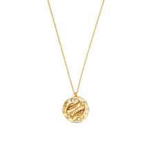 Load image into Gallery viewer, Orelia 18k Gold Plated ‘Aries’ Necklace
